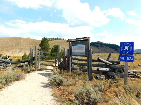 9902663359A9EBE926FEB6