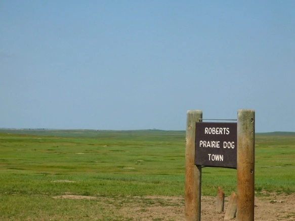 99650A445B4806CF22DE3D