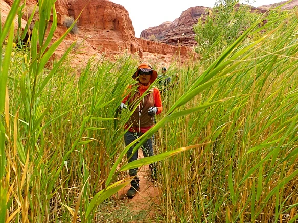 997A9A4F5BBC2D1E0685D7