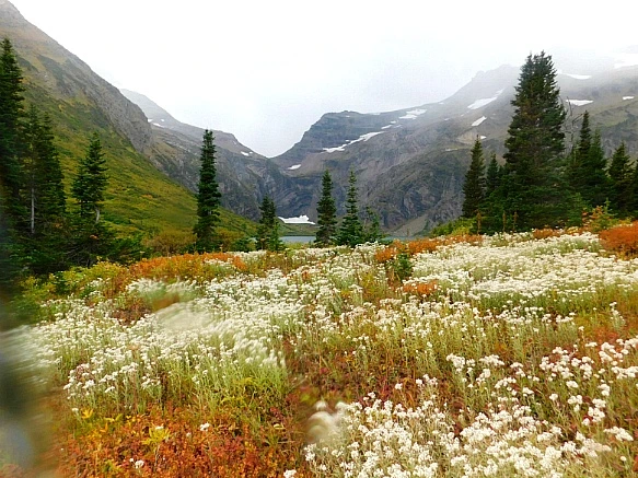 9930CA425BAAFBFD1623EB