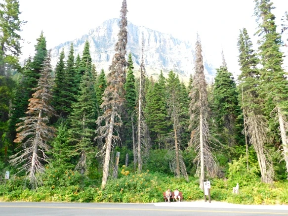 995EDA3359A103A315C92B