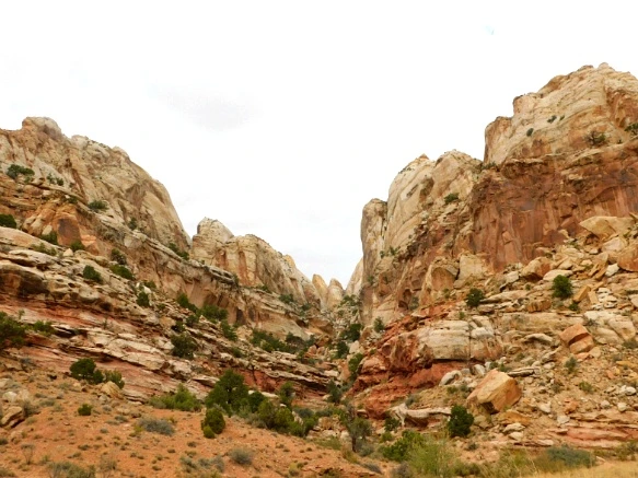 99596D4E5BC2B53F09B5FD