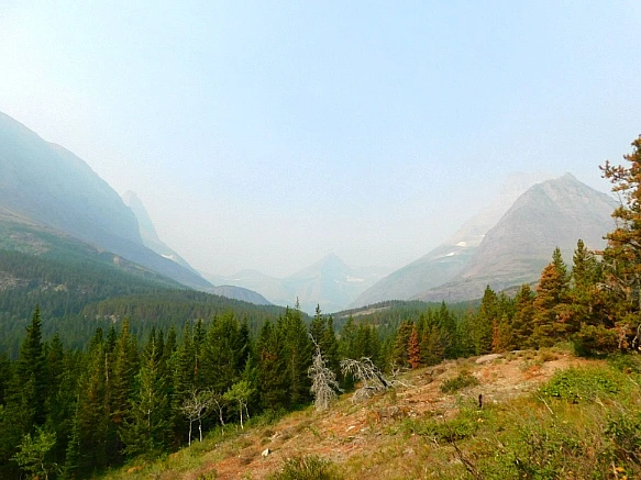 994FAF4D5B87516F035C46