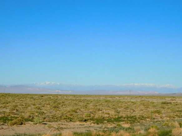 262D8F4057702E14273456