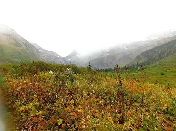 99CED84D5BAAFBE3124270