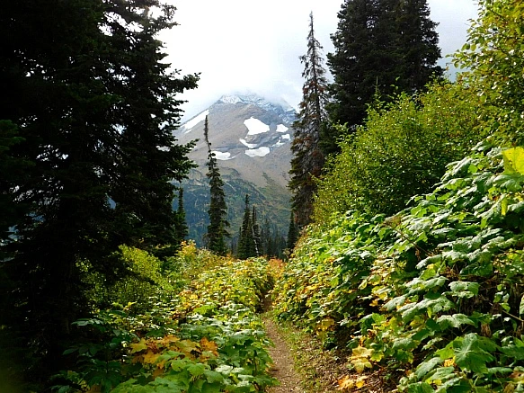 99E9794D5BAAFBD61F29BD