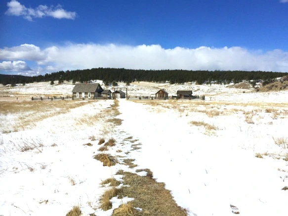 227CC63956F735BD2D1D37