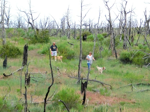 245F754657622B2122EBE6