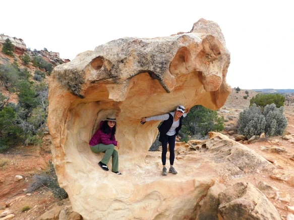 99DC46335A13BB0C28169E