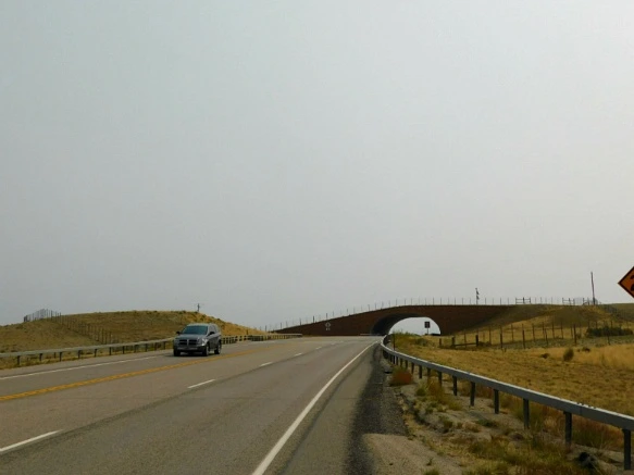 998BA63359B1EAA92BB34E