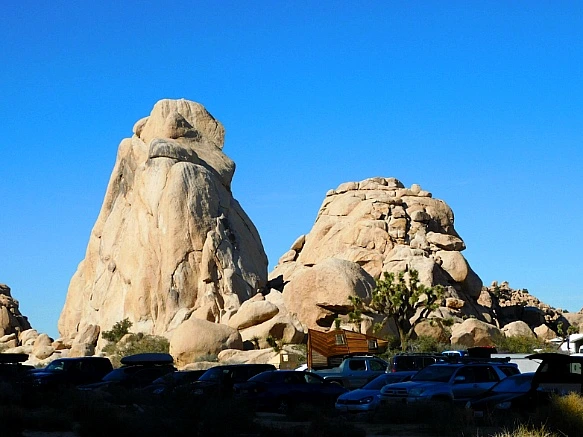 998289435BE4EF1520112A