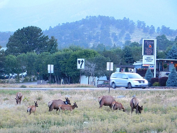 996C4F4D5B726924314E9C