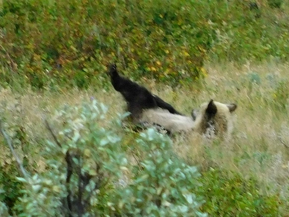 997466425B8F3A922D9830