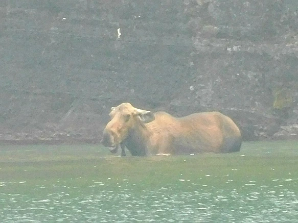 99C2F6435B8755EC0EDDA2