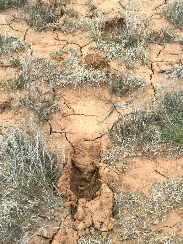 2373473B5705B1FC137763