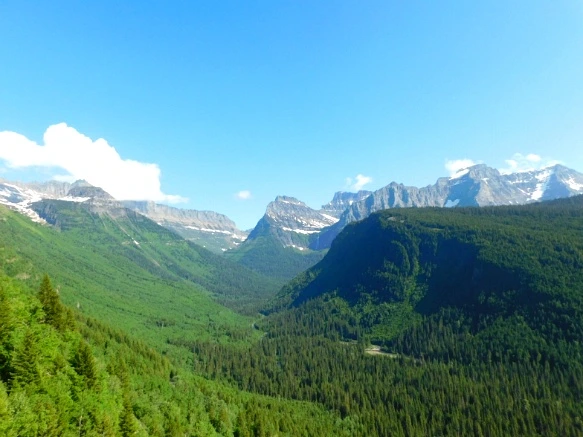 990D75425B3455DD1314FE