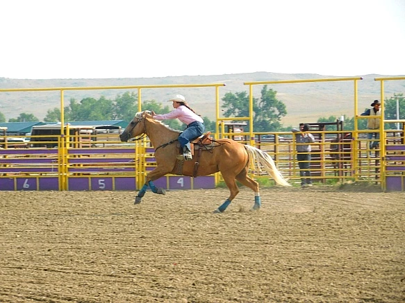 995FAE405B7A344135DA6A