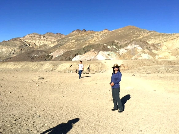 995100335A24C1A50ED32A