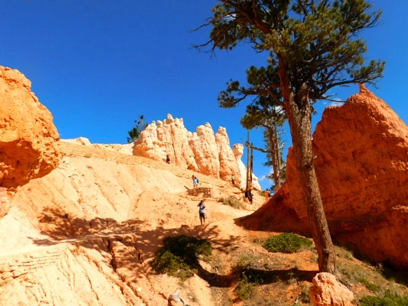 9926AE3359B9B90B1C6E4C