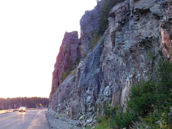 99D2CC3359A383690DD65A