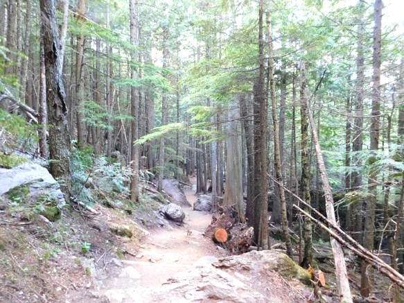 9924304D5B381AD7082989