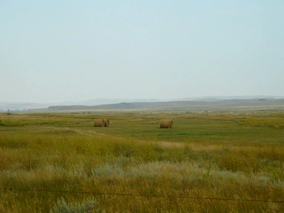 9948CF4F5B77A1A011C57B