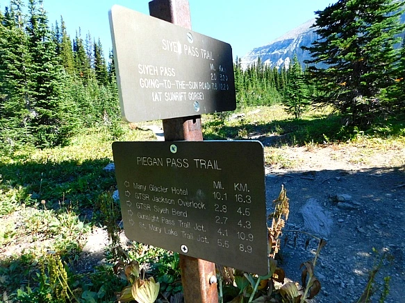 999E45445B95AACB11FD46