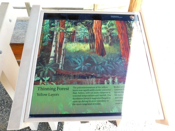 9916DF4F5B2DE46931C414