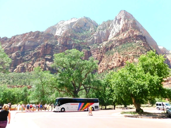 25519646576A138129A184