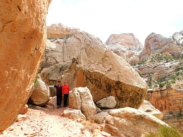 99C5AE455BC2B45A0E36DB