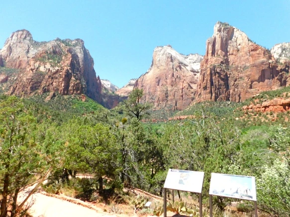 25540446576A137626C7B0