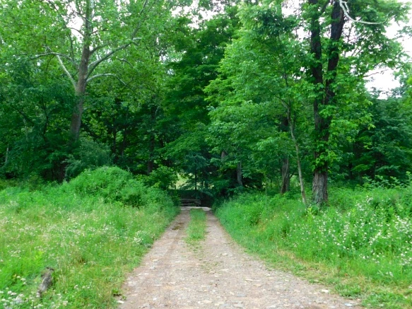 2727083F594C900416CFA3