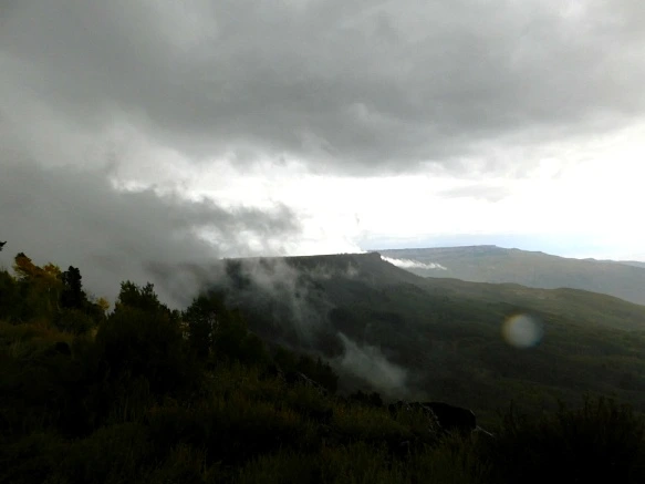 99900D3359BF4BF70B21EB