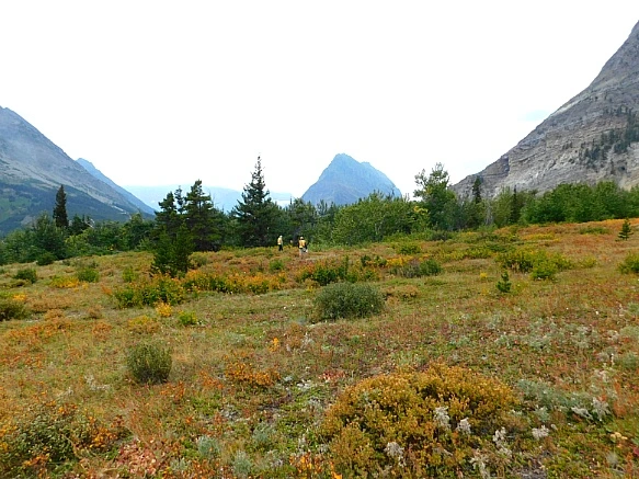 99D17B375B949DA817AF76