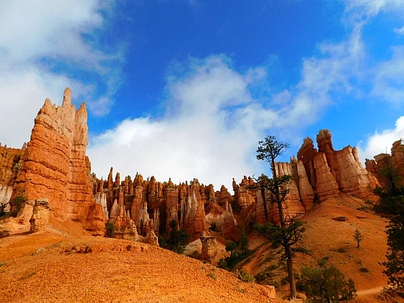 99C8294E5BC567D81F98AC