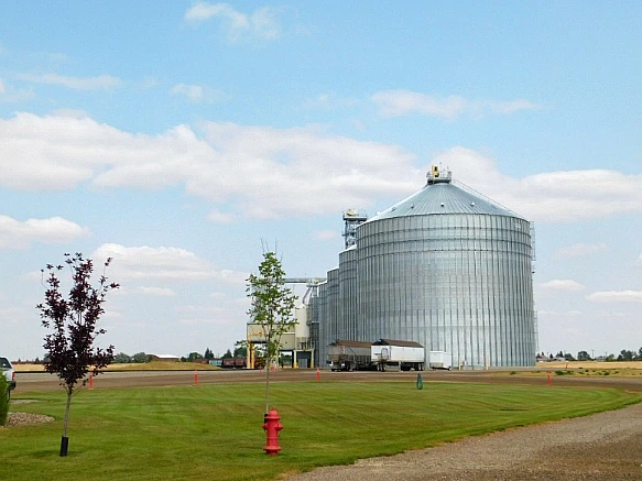 99B181445B8379F603D4F0