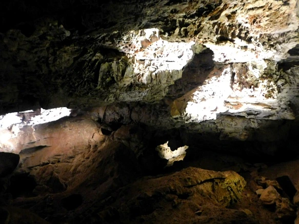 990269505B4405A20A8DD6