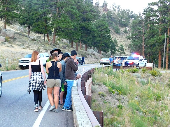 991C9A4D5B72692103E74A