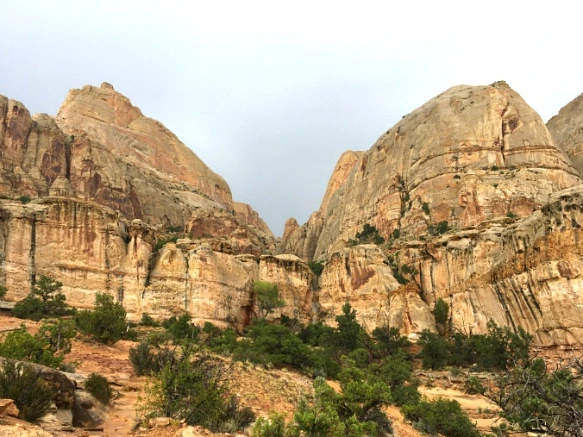 993B3C3359B74FE735C72E