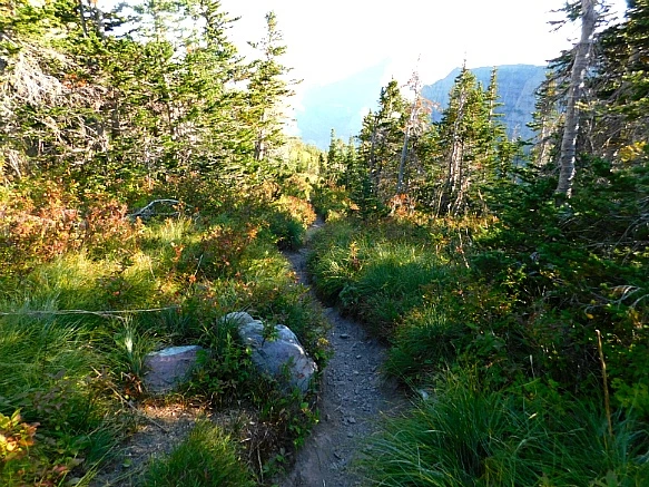 9975BB4A5B95AFE4235E03