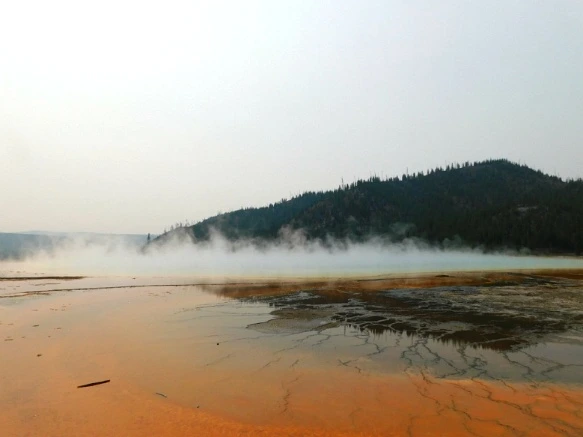 99FD603359AF0E03243095