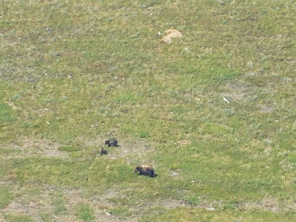 99DB89485B8F333B14DDCA