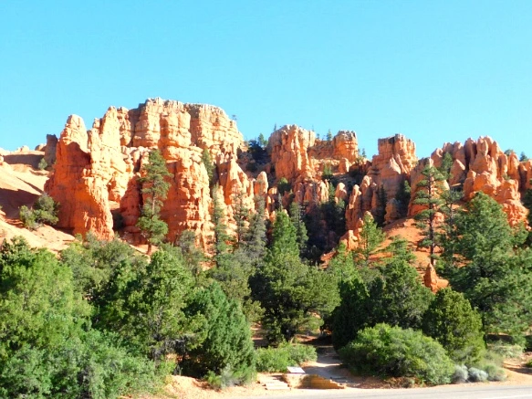 231202395769D715225169