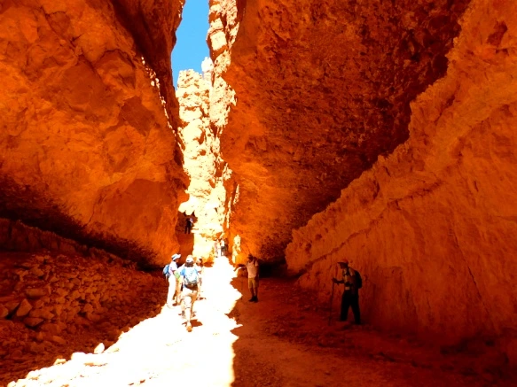 99D8AD3359B878BA15FFF1