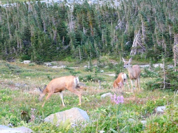 99C2203359A105061D0130