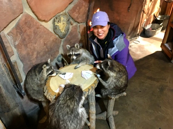 994E3F335A1CC0391B5184