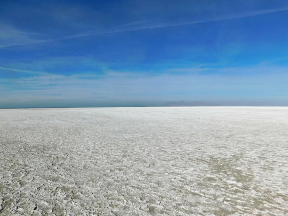 99B15F335A0E54723C9412