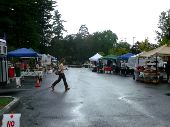 12477F494E7FE43710C798