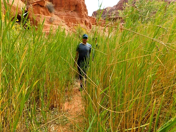 991E574F5BBC2D450C6BBC