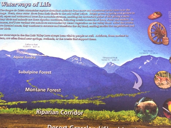 2316634957004B0310366E